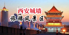 大鸡吧插进小阴B里亚洲精品中国陕西-西安城墙旅游风景区